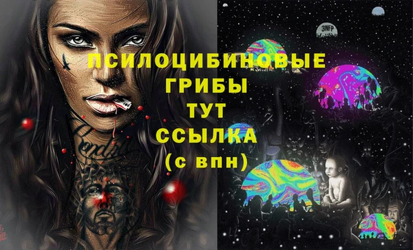 тгк Россошь