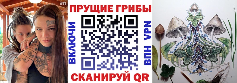Галлюциногенные грибы GOLDEN TEACHER  гидра рабочий сайт  Донской  сколько стоит 